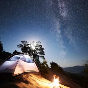 NYC Politics Unpacked