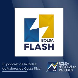 Bolsa Flash