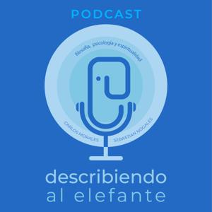 Describiendo al Elefante