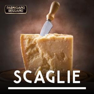 SCAGLIE - Parmigiano Reggiano