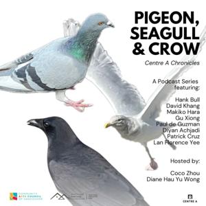 Pigeon, Seagull & Crow: Centre A Chronicles