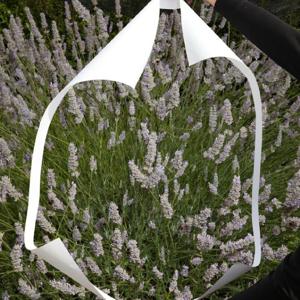 Meus Estudos de Hotelaria