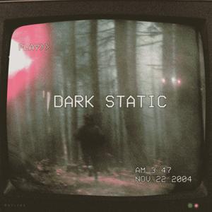 Dark Static