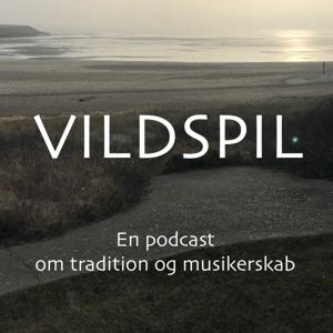 Vildspil