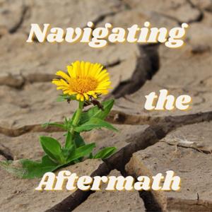 Navigating the Aftermath