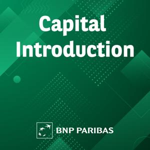 Capital Introduction, Prime Services