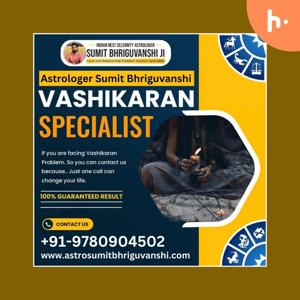 Top Love Problem Solution Specialist Astrologer