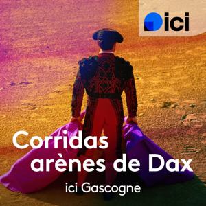 Corridas aux arènes de Dax