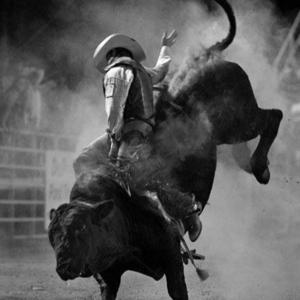 The american rodeo