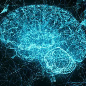 Assignment #3 Metacognition: self-concept, and self-regulation