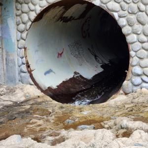 We Saved it for the pod.