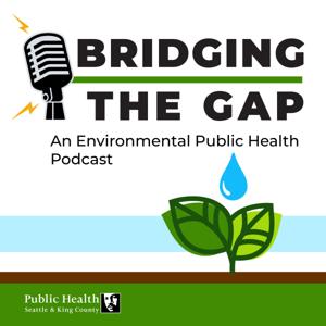 Bridging the Gap