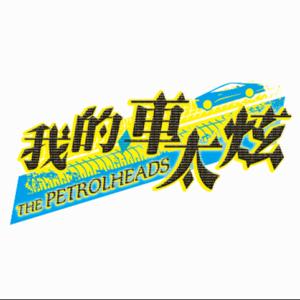 我的車太炫
