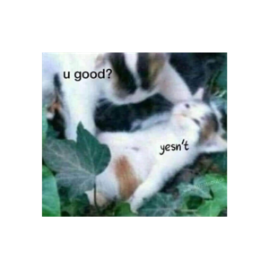 Başlıkmaşlıkyok