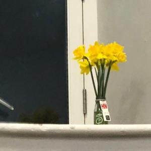 被人讨厌的勇气