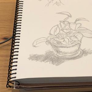 いつもの場所