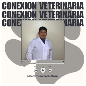 Conexion Veterinaria