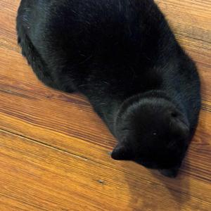 Intentionally Left Blank