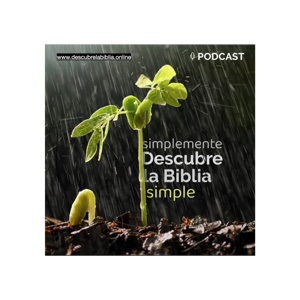 Simplemente Descubre la Biblia, simple