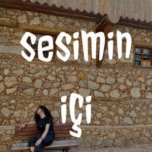 sesimin içi