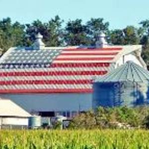 Last Farm in the USA