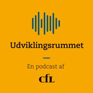 Udviklingsrummet