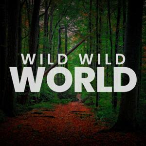 Wild, Wild World