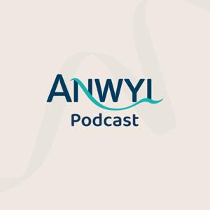 Anwyl Podcast