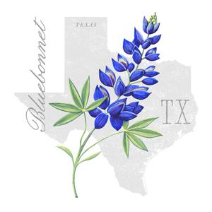 Bluebonnet Mountains