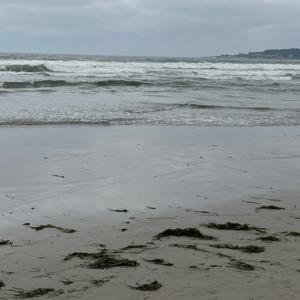 Improvement by myself