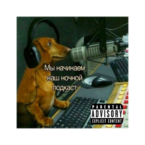 Подкаст