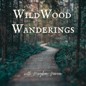 WildWood Wanderings