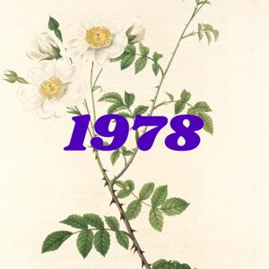 1978fm