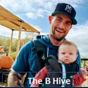 The B Hive