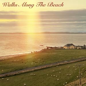 Walks Along The Beach