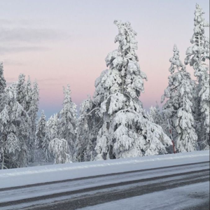 梅艷芳-演唱會現場
