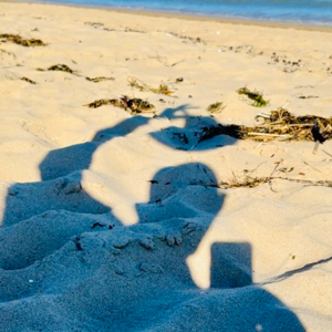 CHRIS HOSEA'S ARE YOU SHADOW SMART?