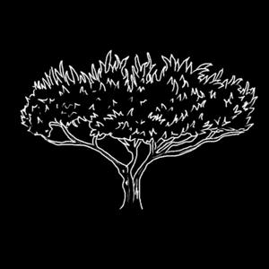 The Broom Tree Podcast