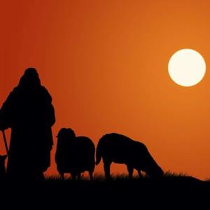 The Shepherd's Companion