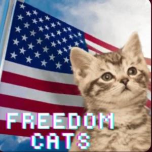 Freedom Cats