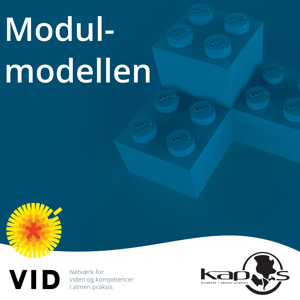 Modul-modellen i almen praksis