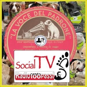 Rete 100 passi cinofili