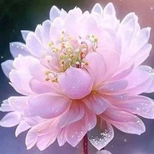 మితభాషి