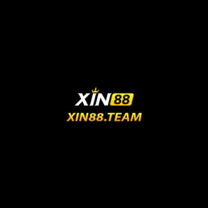 xin88team