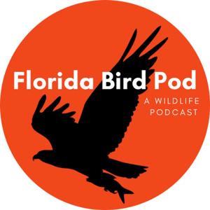 Florida Bird Pod