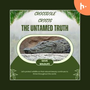 Crocodile Crisis: The Untamed truth