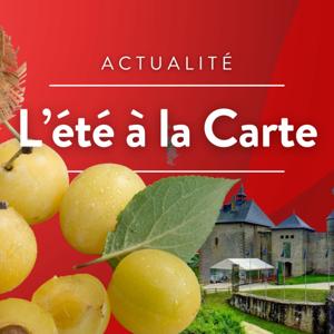 10h en Lorraine : un été à la carte