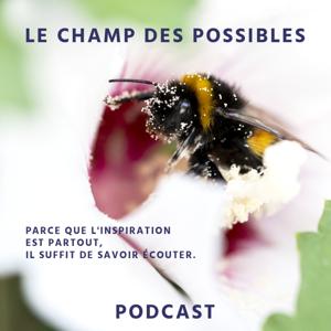 Le champ des possibles
