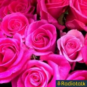 kikiの高まるRADIO💎