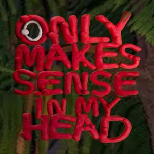 Only Makes Sense In My Head